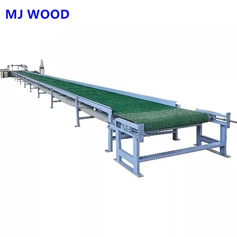 Automatic Plywood Core Veneer Paving & Assembling Line (3)